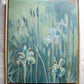 Irises