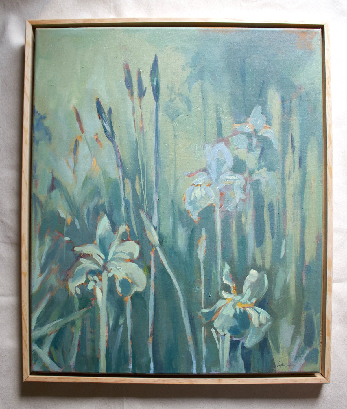 Irises