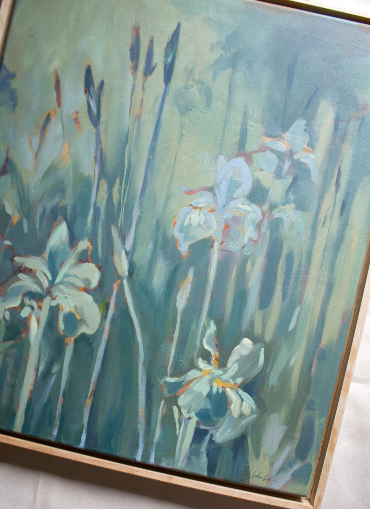 Irises