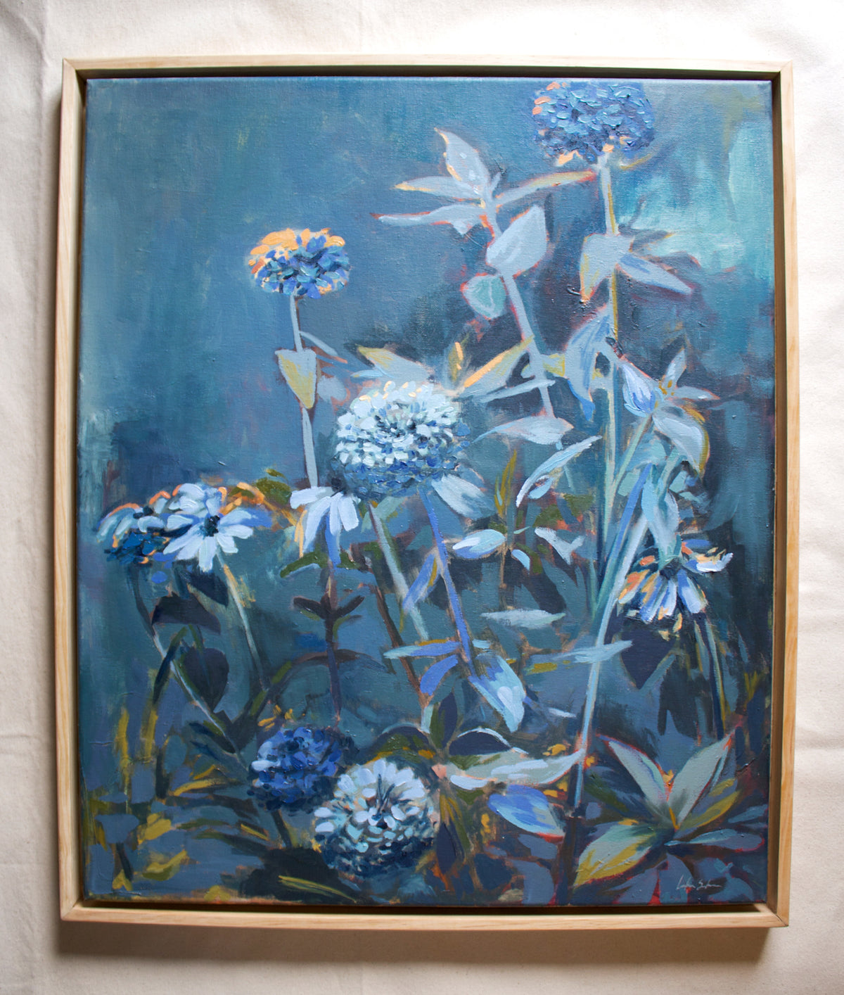 Zinnias