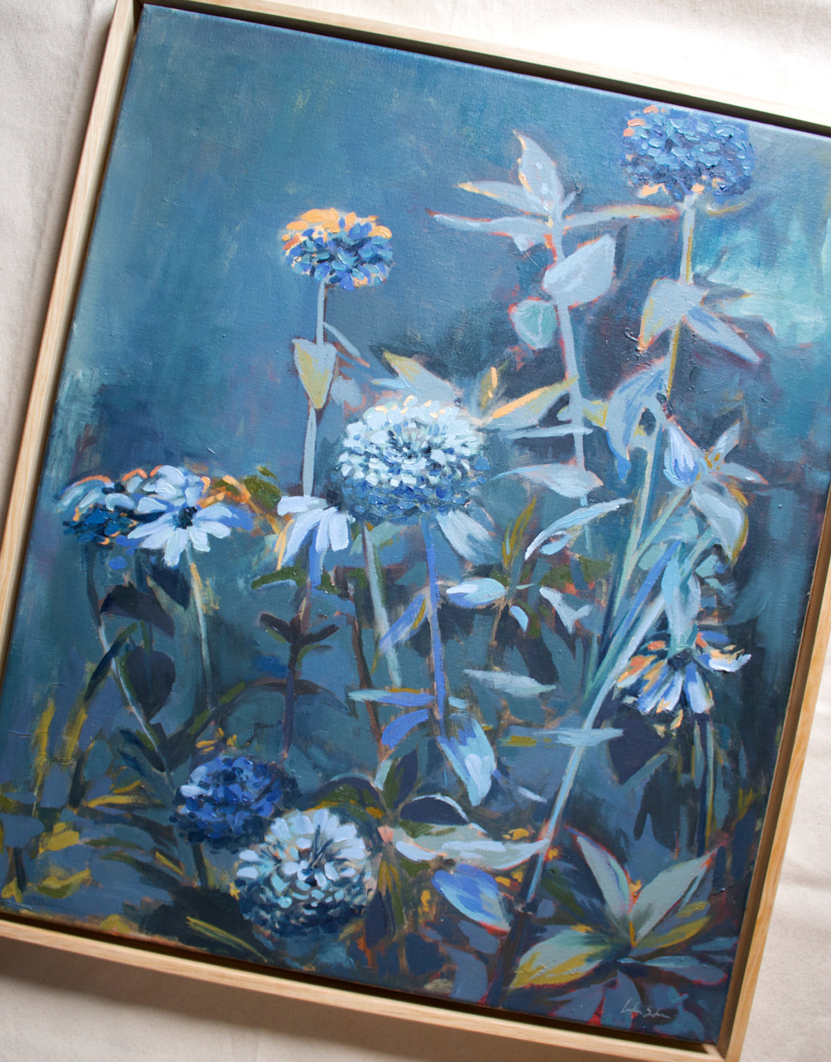 Zinnias